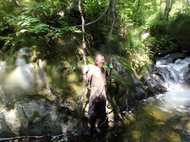 f:id:hatinoyado8:20160807215535j:plain f:id:hatinoyado8:20160807215535j:plain