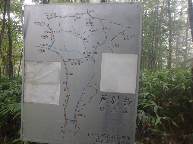 f:id:hatinoyado8:20160827201549j:plain