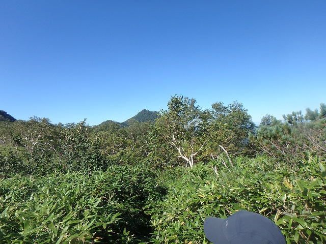 f:id:hatinoyado8:20160827202426j:plain
