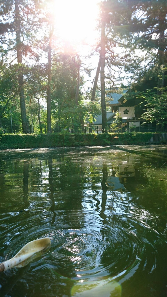 f:id:hatinoyado8:20160917114812j:plain