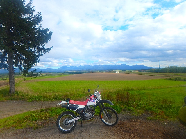 f:id:hatinoyado8:20160919230824j:plain f:id:hatinoyado8:20160919230824j:plain