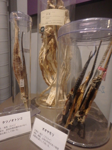 f:id:hatinoyado8:20161004184707j:plain