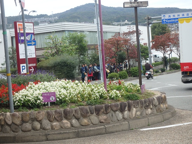 f:id:hatinoyado8:20161031222540j:plain f:id:hatinoyado8:20161031222540j:plain