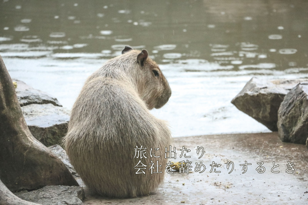 f:id:hatinoyado8:20161217073055j:plain f:id:hatinoyado8:20161217073055j:plain