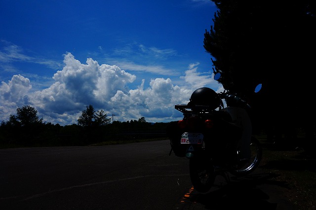 f:id:hatinoyado8:20190606205911j:plain