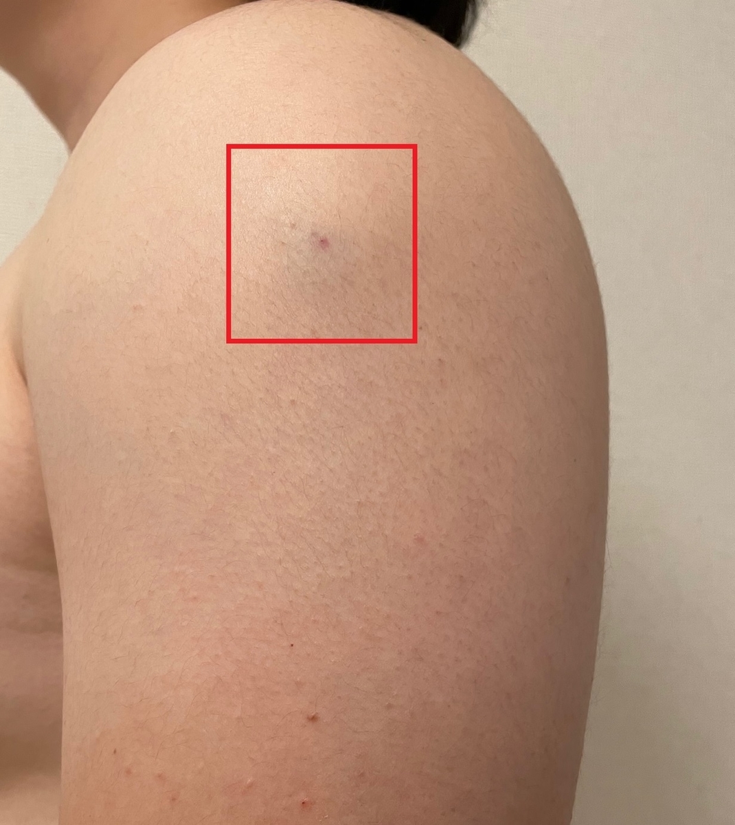 f:id:hative:20210908222855j:plain