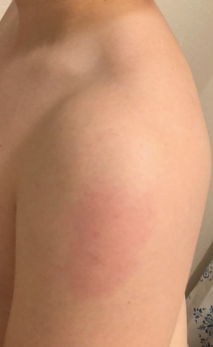 f:id:hative:20210908223929j:plain