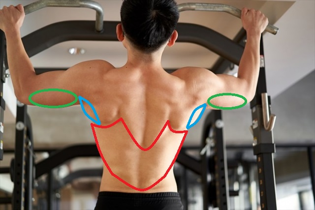 f:id:hative:20211014201509j:plain