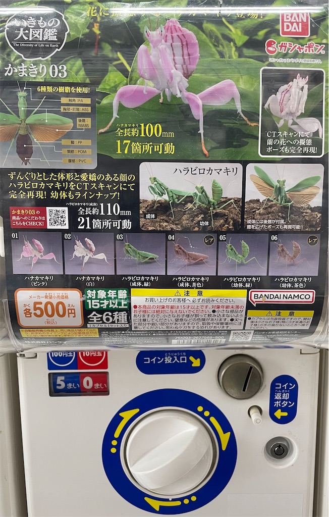 実機購入】いきもの大図鑑 ガチャ「かまきり03」購入・簡易レビュー