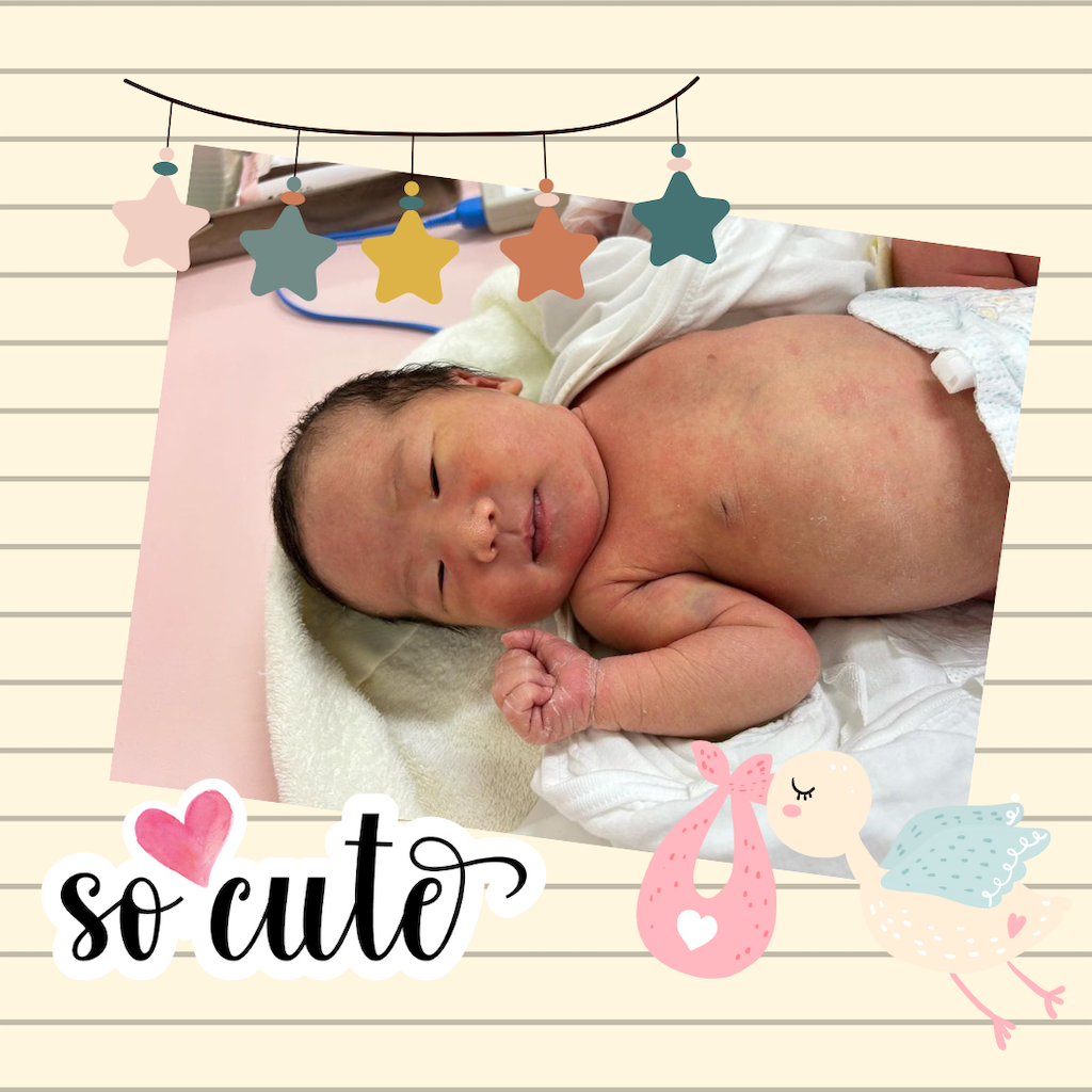 f:id:hato0305:20240214230929p:image