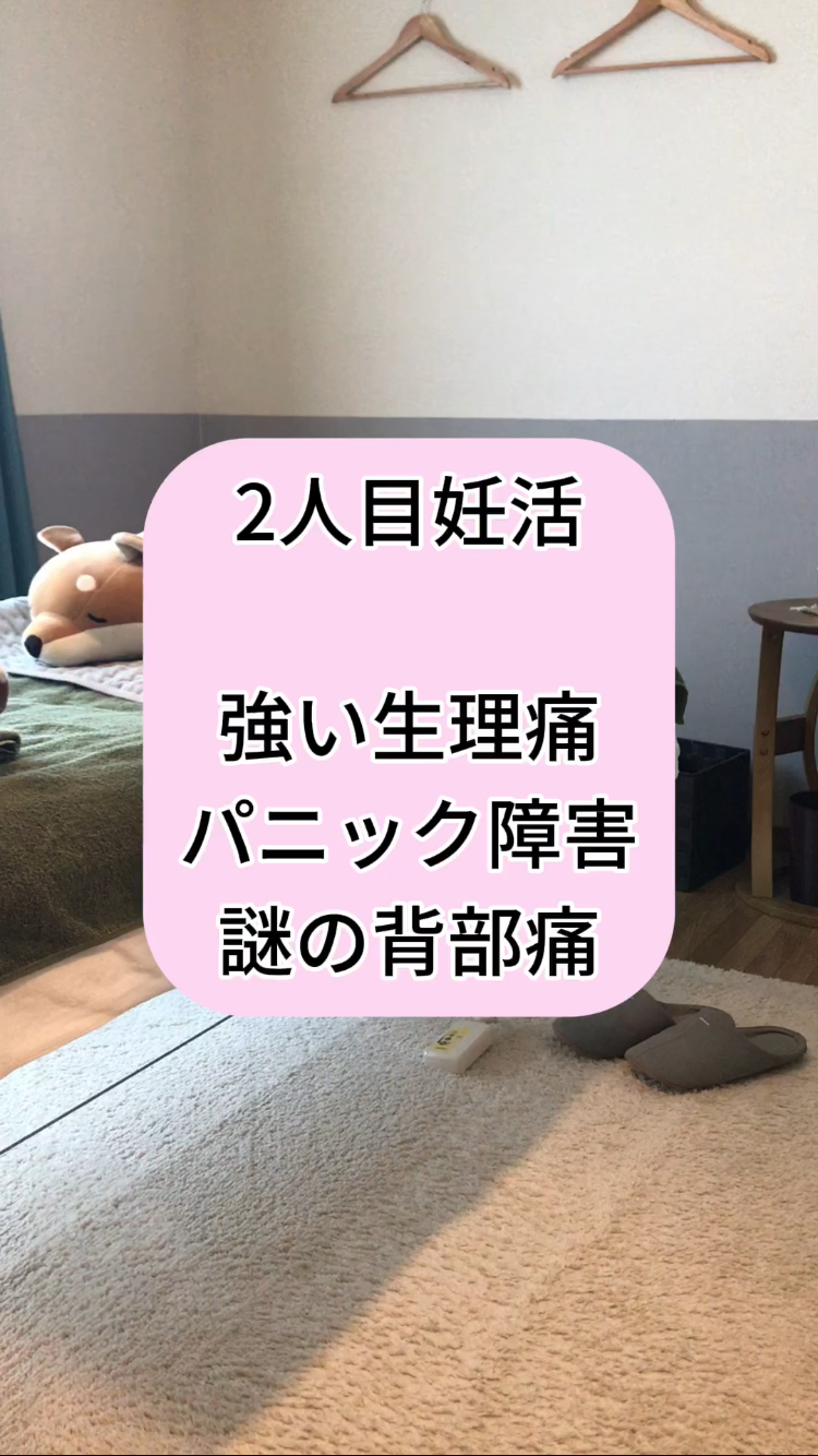 f:id:hato0305:20250502150301p:image