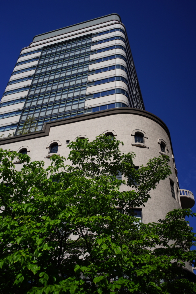 f:id:hato36:20170504151211j:plain