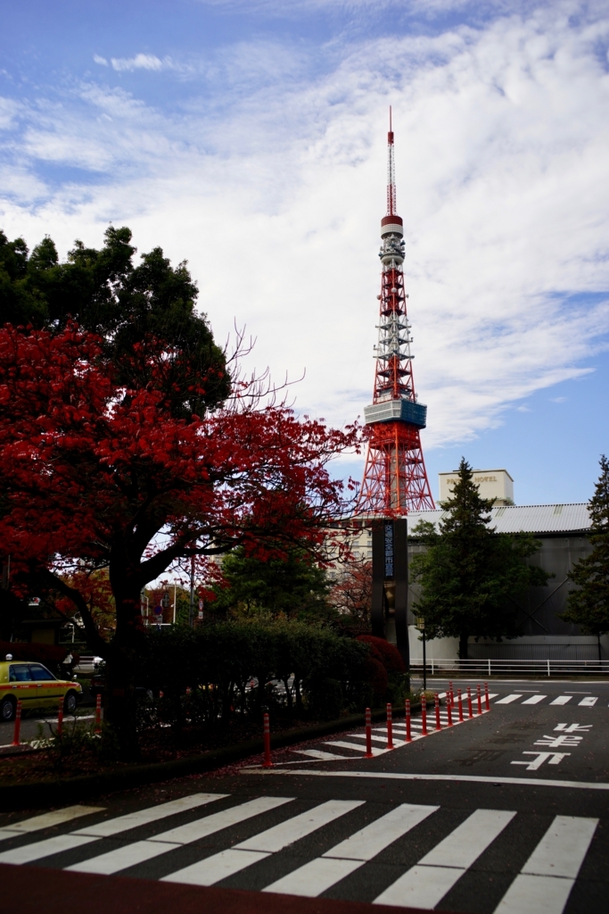 f:id:hato36:20171126113439j:plain f:id:hato36:20171126113439j:plain