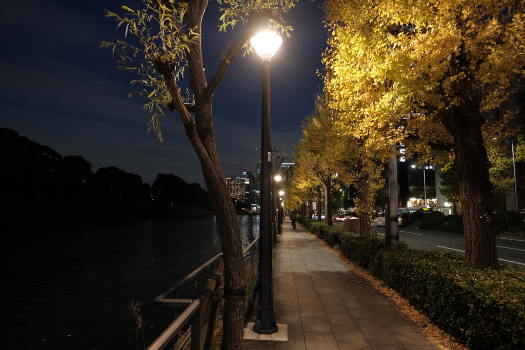 f:id:hato36:20181124171021j:plain