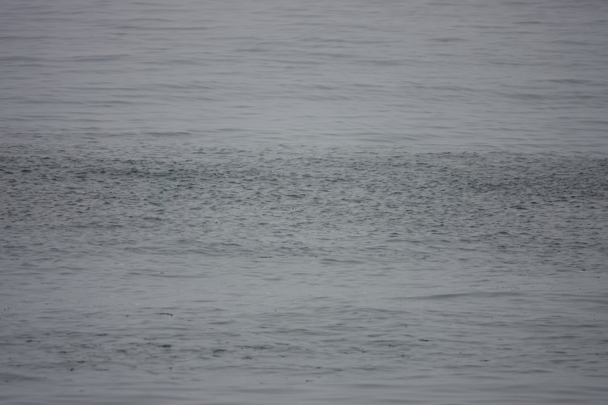 f:id:hato36:20200606135653j:plain f:id:hato36:20200606135653j:plain