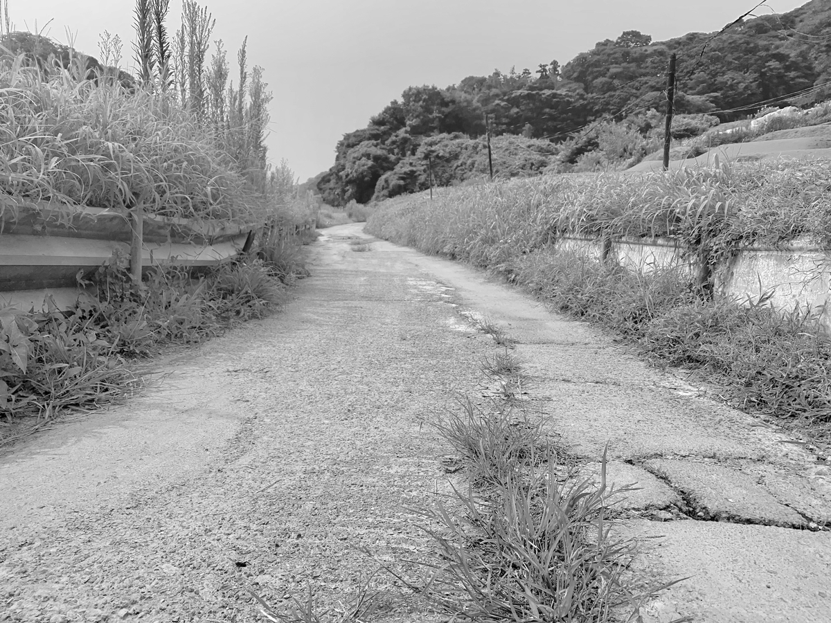 f:id:hato36:20200808095320j:plain f:id:hato36:20200808095320j:plain