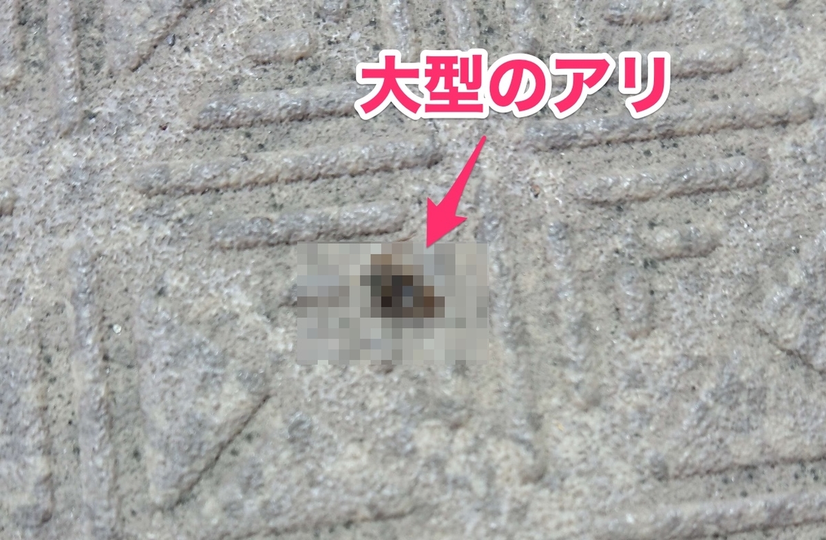 f:id:hato36:20200816145411j:plain f:id:hato36:20200816145411j:plain