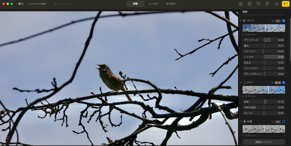 f:id:hato36:20210405145100p:plain