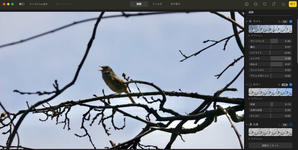 f:id:hato36:20210405145304p:plain