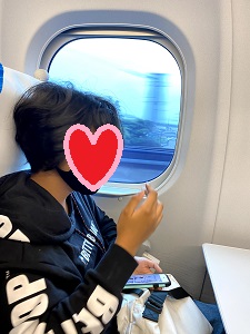 f:id:hato_0000:20201022105855j:plain f:id:hato_0000:20201022105855j:plain