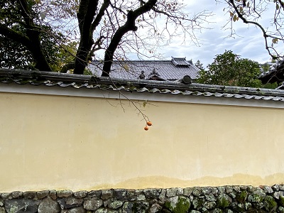 f:id:hato_0000:20201022110251j:plain f:id:hato_0000:20201022110251j:plain