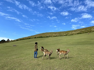 f:id:hato_0000:20201022110346j:plain f:id:hato_0000:20201022110346j:plain