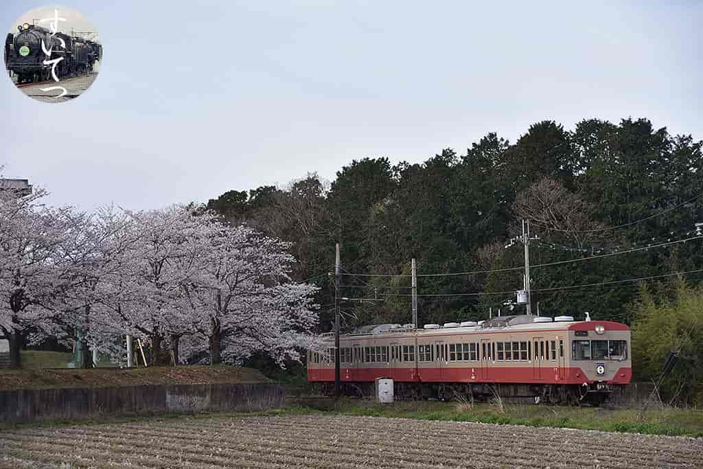 f:id:hato_express:20190412223004j:plain