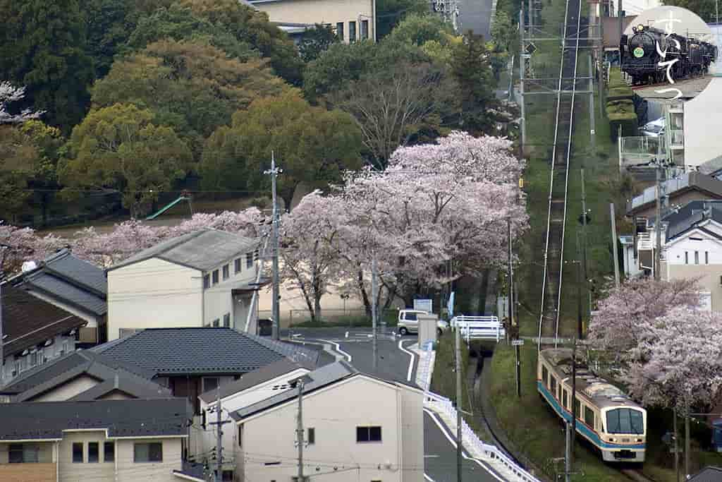 f:id:hato_express:20190414142221j:plain f:id:hato_express:20190414142221j:plain