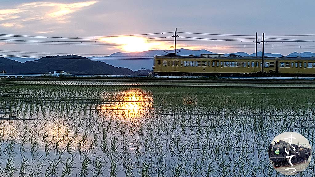 f:id:hato_express:20190516042556j:plain
