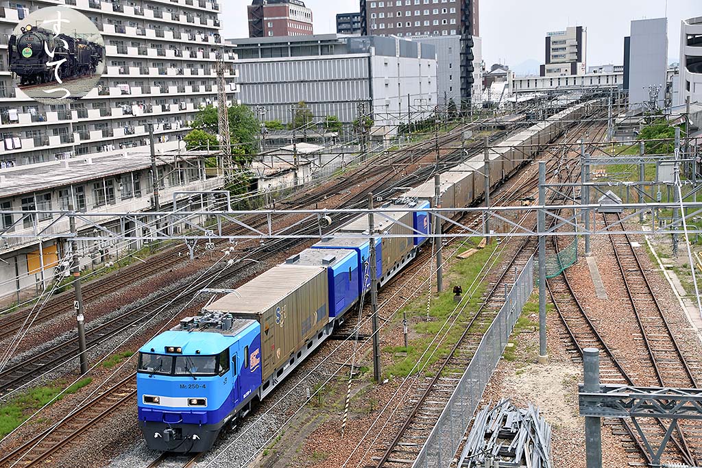 f:id:hato_express:20190519183705j:plain