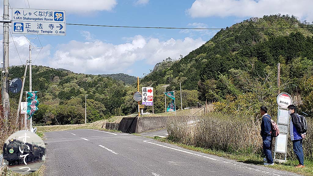 f:id:hato_express:20190608221305j:plain