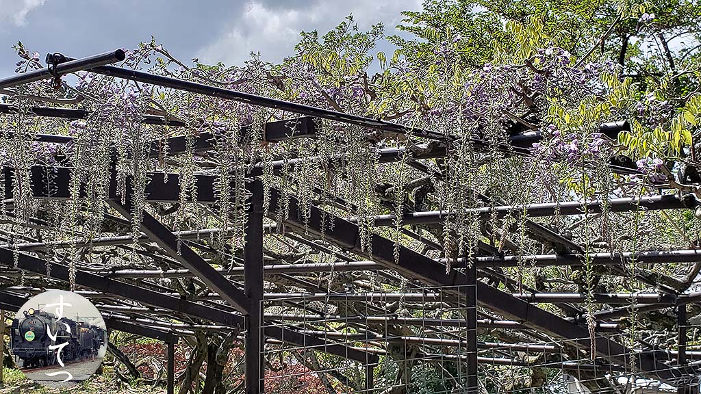f:id:hato_express:20190608223407j:plain