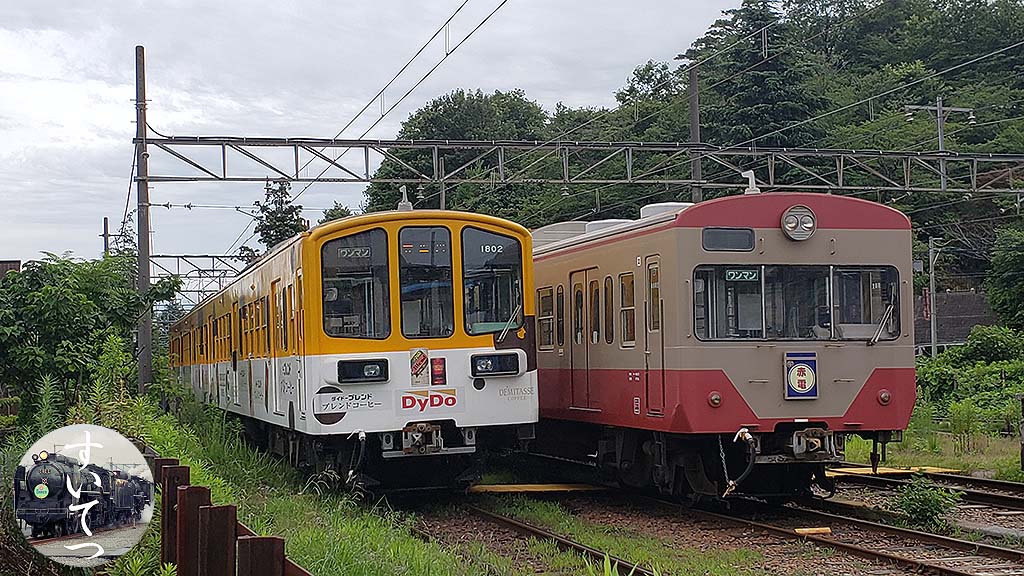 f:id:hato_express:20190721190020j:plain