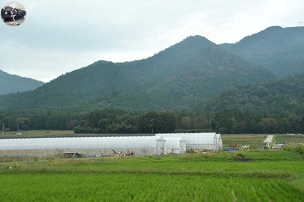 f:id:hato_express:20191027214144j:plain