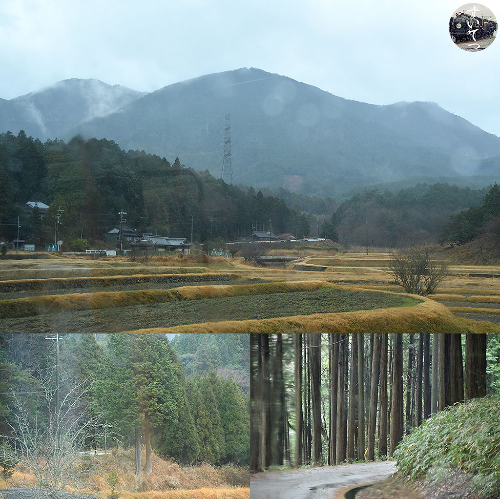 f:id:hato_express:20200119214129j:plain f:id:hato_express:20200119214129j:plain