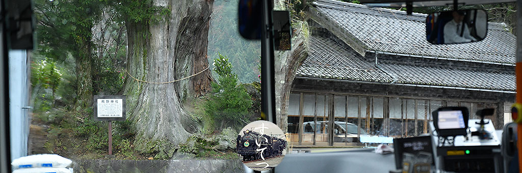 f:id:hato_express:20200119214132j:plain f:id:hato_express:20200119214132j:plain