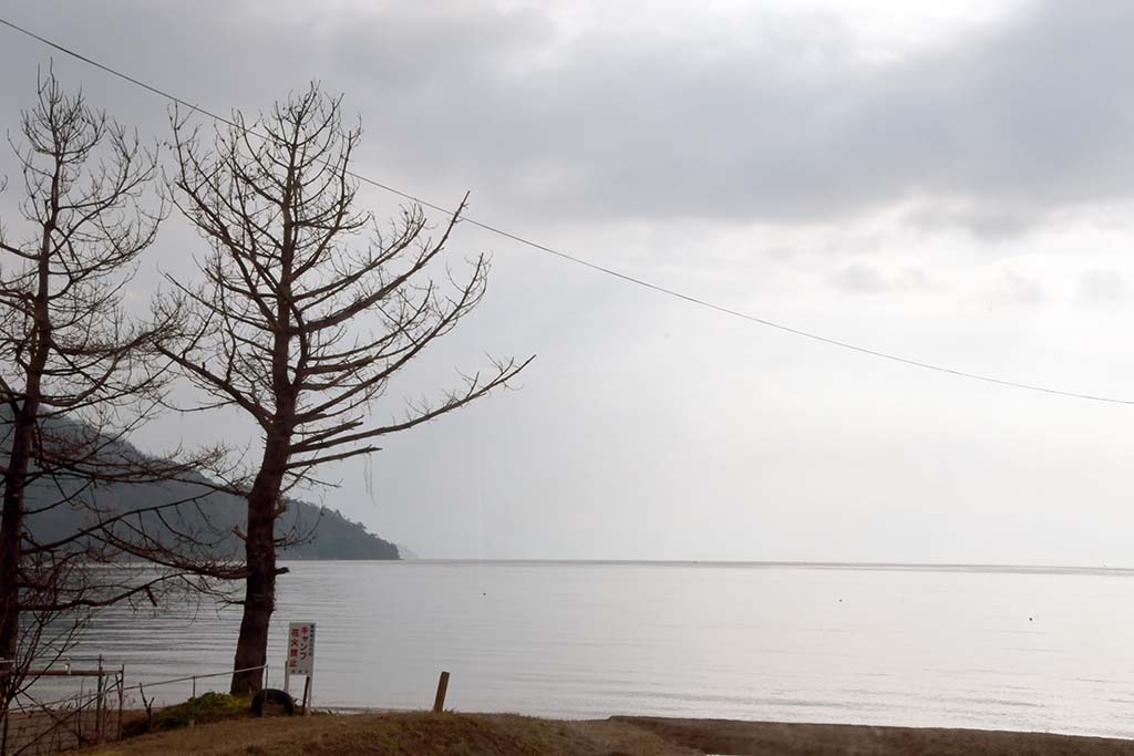 f:id:hato_express:20200120022123j:plain