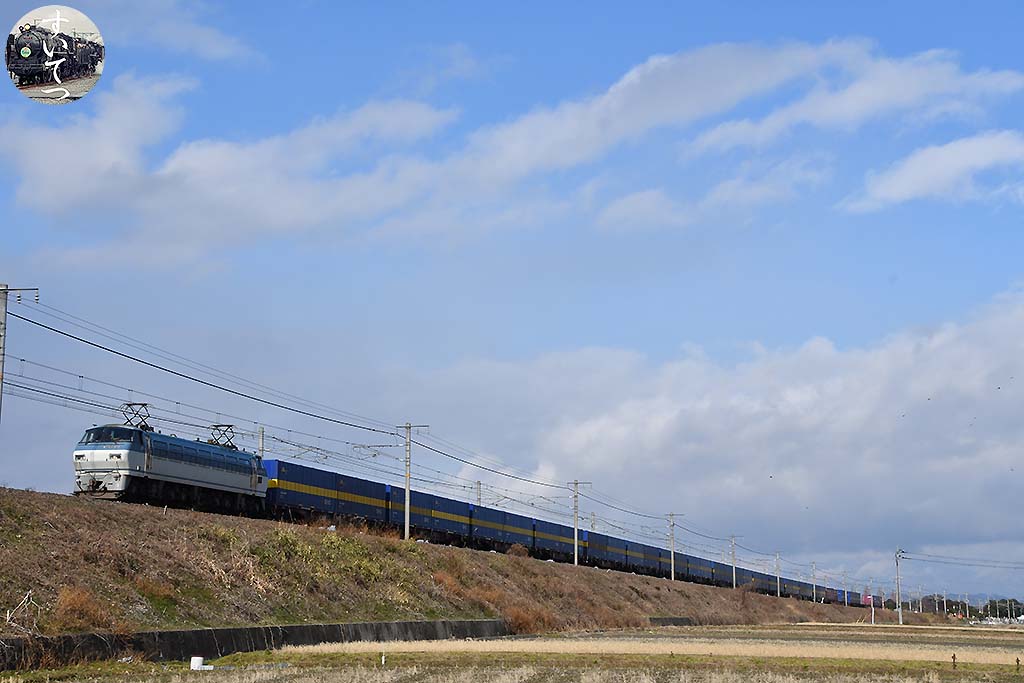 f:id:hato_express:20200217005042j:plain