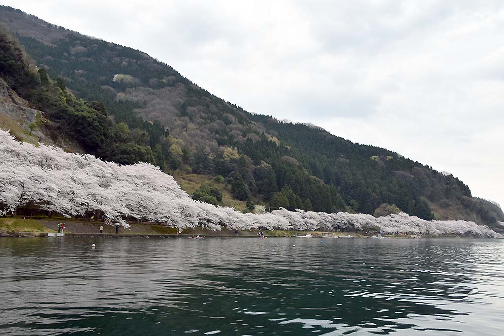 f:id:hato_express:20200223102356j:plain