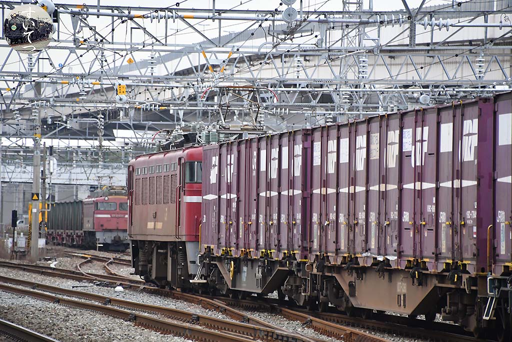 f:id:hato_express:20200329125639j:plain