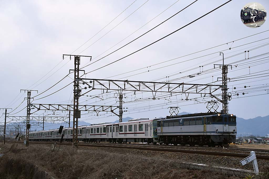 f:id:hato_express:20200331013156j:plain