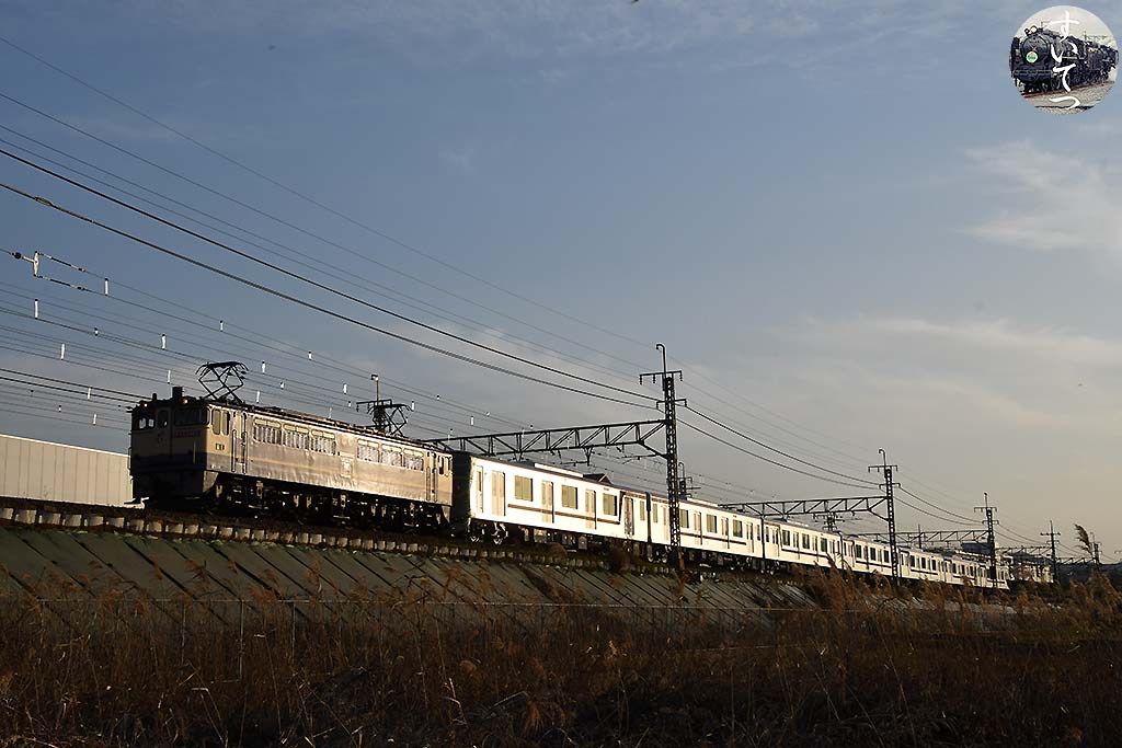 f:id:hato_express:20200331013203j:plain