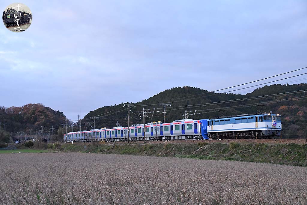 f:id:hato_express:20200331040246j:plain