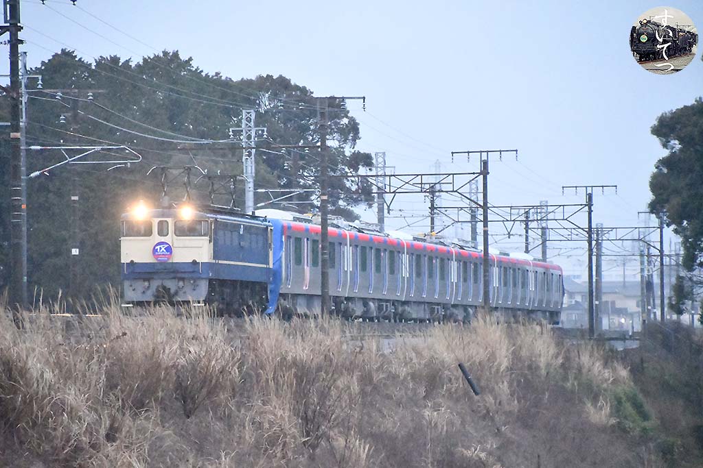f:id:hato_express:20200331040256j:plain