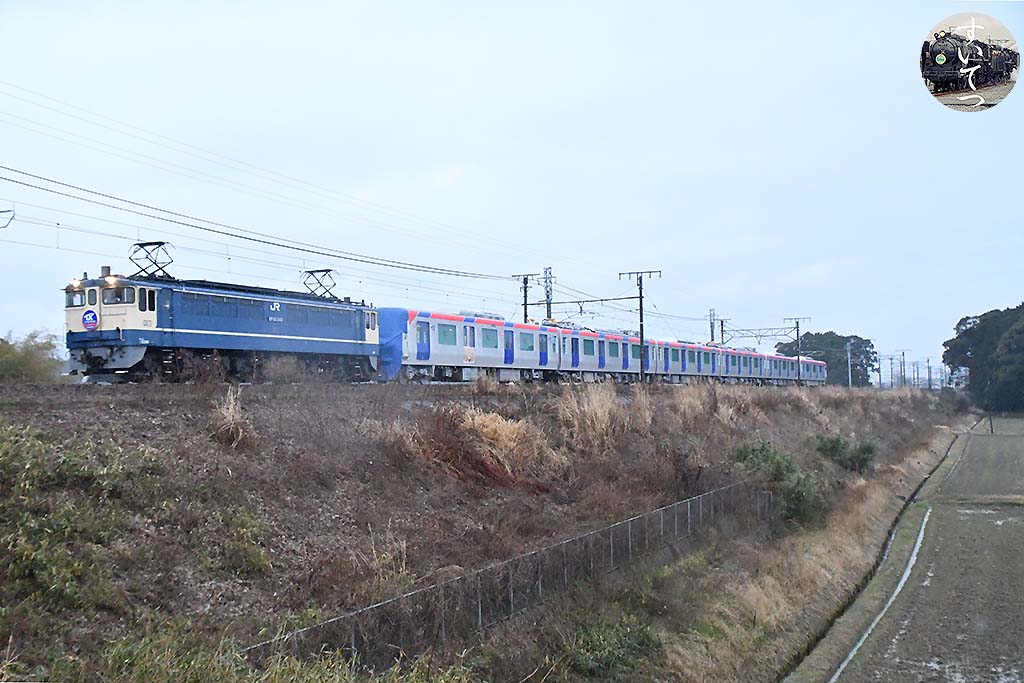 f:id:hato_express:20200331040259j:plain