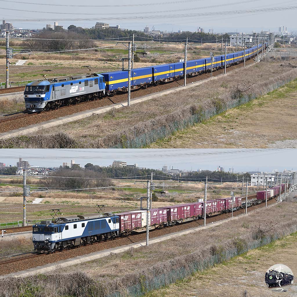 f:id:hato_express:20200402043207j:plain