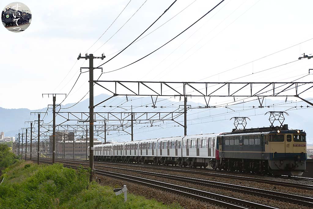 f:id:hato_express:20200509185547j:plain f:id:hato_express:20200509185547j:plain