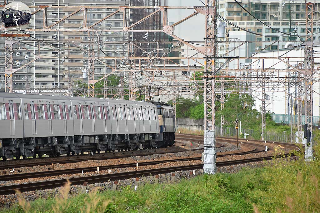 f:id:hato_express:20200509185550j:plain f:id:hato_express:20200509185550j:plain