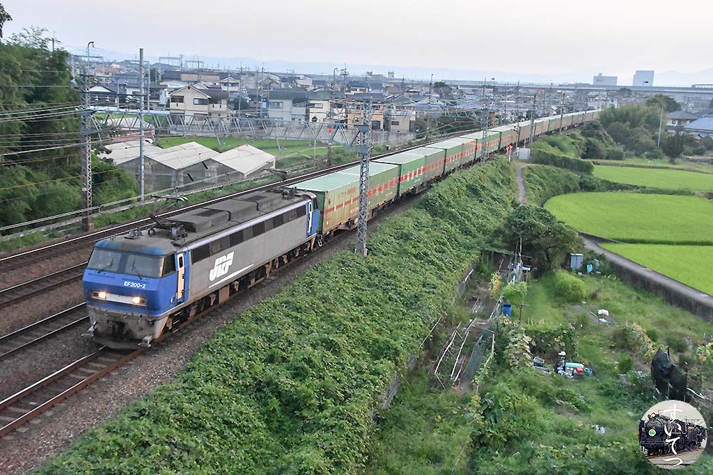 f:id:hato_express:20200520224318j:plain
