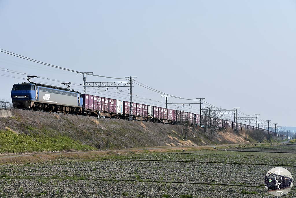 f:id:hato_express:20200604001102j:plain